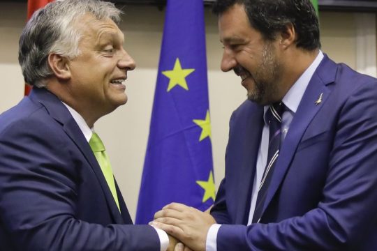 Το «μαύρο πρόβατο» κάθεται στο… μαντρί!