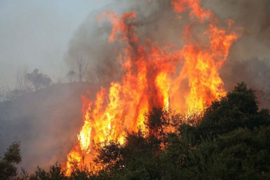 Υπό μερικό έλεγχο η φωτιά στη Χαλκιδική