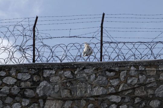 Εισαγγελική παρέμβαση για την άρνηση αποφυλάκισης δύο καρκινοπαθών