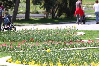 Ετσι, χωρίς θέμα…