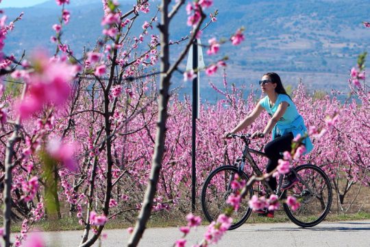 Yψηλές για την εποχή θερμοκρασίες στα νότια