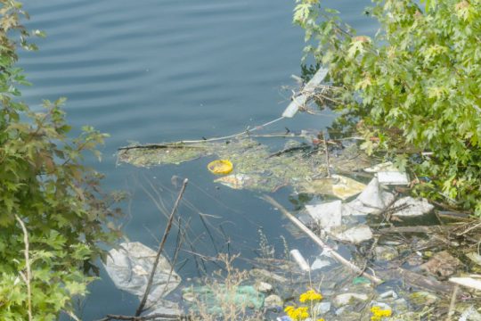 Γεμάτα αντιβιοτικά και λύματα από φαρμακοβιομηχανίες πολλά ποτάμια