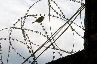 Ελεύθεροι για λίγες ώρες οι δύο δραπέτες των φυλακών Αυλώνα