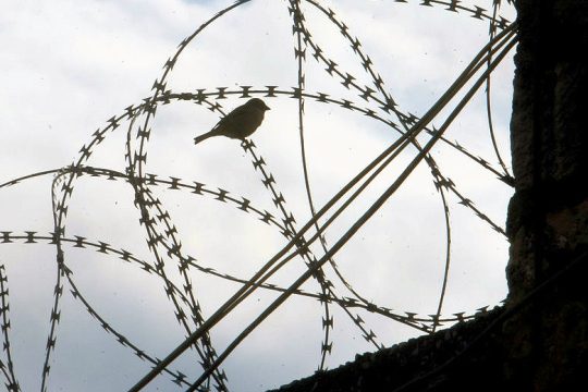 Ελεύθεροι για λίγες ώρες οι δύο δραπέτες των φυλακών Αυλώνα