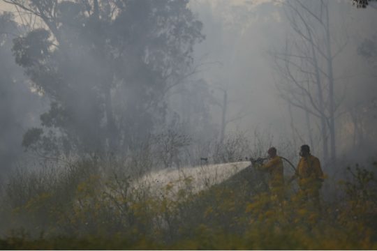 Πυρκαγιές σε όλο το Ισραήλ λόγω καύσωνα – Εκκενώθηκαν κοινότητες