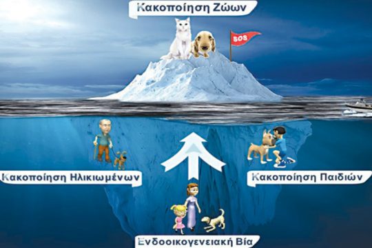 Κρήτη: «Η κακοποίηση ζώων είναι η κορυφή του παγόβουνου»