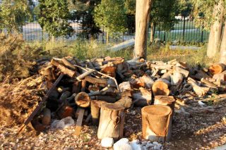 Οι περίοικοι σταμάτησαν την κοπή δέντρων