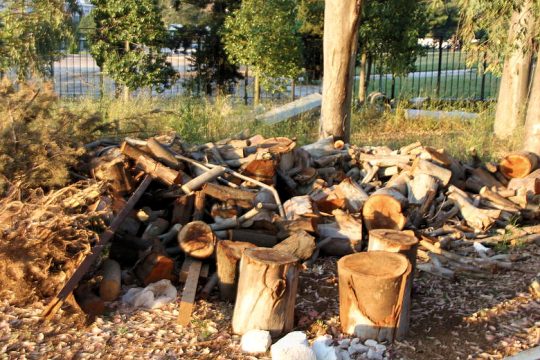 Οι περίοικοι σταμάτησαν την κοπή δέντρων
