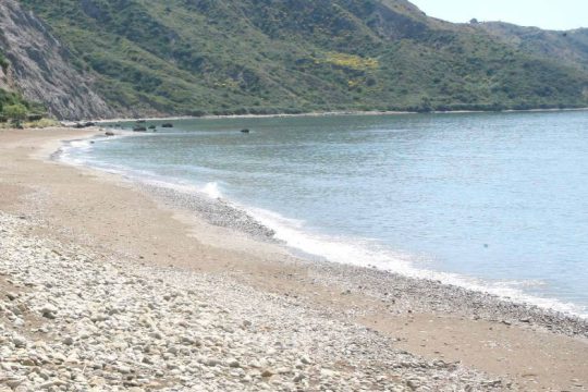 Πέντε καρέτα-καρέτα βρέθηκαν νεκρές σε μία μέρα