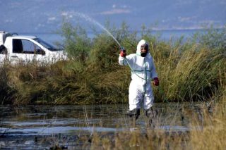 Προσοχή: άρχισαν τα τσιμπήματα των κουνουπιών
