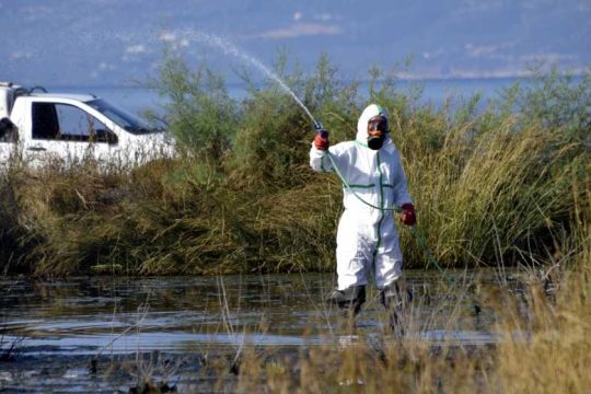 Προσοχή: άρχισαν τα τσιμπήματα των κουνουπιών