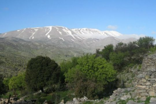 Ρέθυμνο: Πιλοτικές θεματικές διαδρομές αγροδιατροφικού ενδιαφέροντος