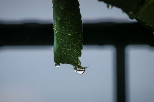 Βροχές και καταιγίδες στο μεγαλύτερο μέρος της χώρας