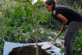 «Να ξανασυνδεθούμε με τον παραγωγό και τη φύση»