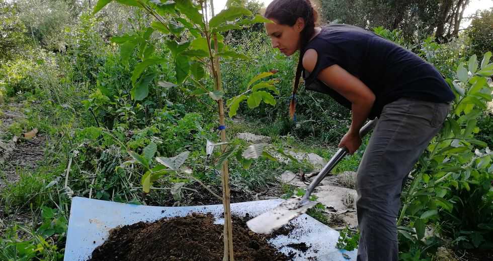 «Να ξανασυνδεθούμε με τον παραγωγό και τη φύση»