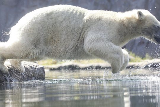 Όλοι χρειάζονται λίγες ανάσες δροσιάς