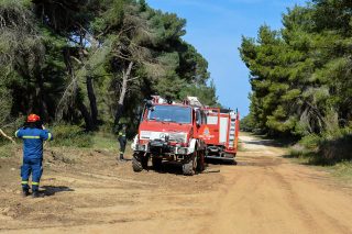 140 εκατ. και προσλήψεις στις Δασικές Υπηρεσίες για την πρόληψη πυρκαγιών