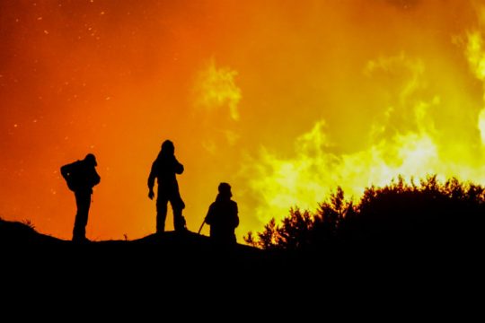 Υπό ισχυρούς ανέμους η πυρκαγιά στην Κάρυστο
