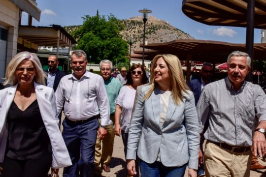 Φ. Γεννηματά: «Να ψηφίσουμε με βάση τη λογική»