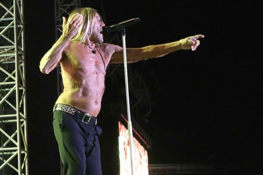 Iggy f@@@ing thank you!