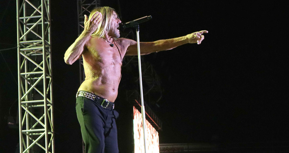 Iggy f@@@ing thank you!