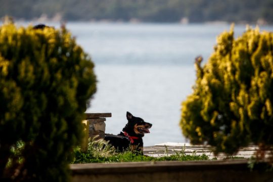 Καλοκαιρία και θερμοκρασίες έως 37 βαθμούς την Κυριακή