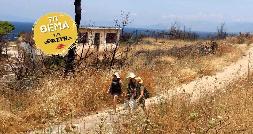 Αργά και διστακτικά επιστρέφει η ζωή στο Μάτι