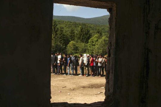 Προσφυγιά, Σαλβίνι, Κάρολα και Πία