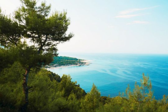 Στα ίσαλα της ποίησης