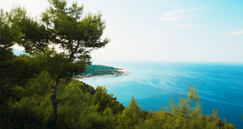 Στα ίσαλα της ποίησης