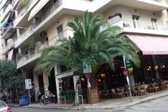 Πεισματάρης φοίνικας