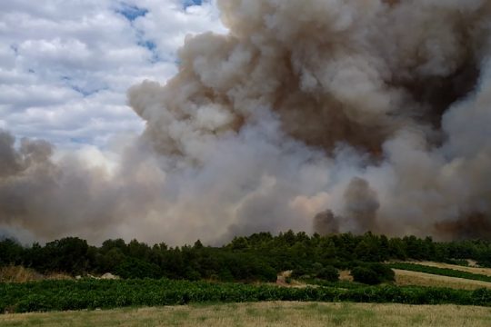 Σε εξέλιξη η μεγάλη πυρκαγιά στην Τανάγρα