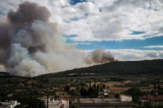 Οριοθετήθηκε η φωτιά στην Τανάγρα
