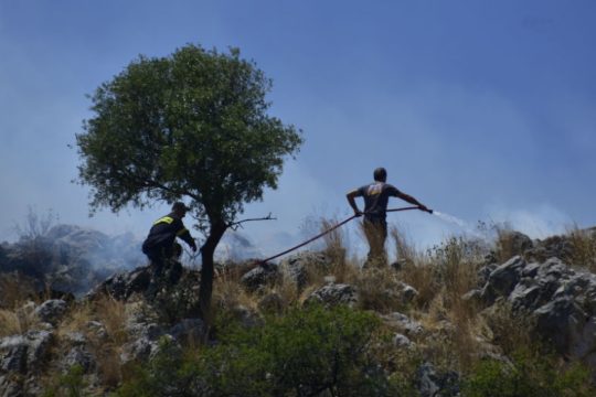 Σε ύφεση η πυρκαγιά στον Κιθαιρώνα