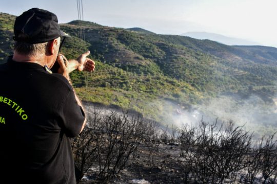 Υπό έλεγχο η πυρκαγιά στο Ναύπλιο