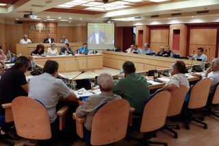 «Φαιό νταμάρι» η απλή αναλογική