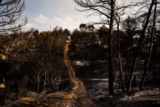 Ο καταστροφικός ρόλος της μικροπολιτικής