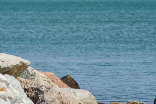 Καταγγελία 19χρονης για βιασμό στη Ρόδο