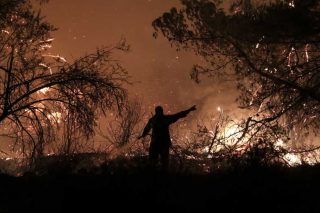 Αποψιλώνεται η Μεσόγειος