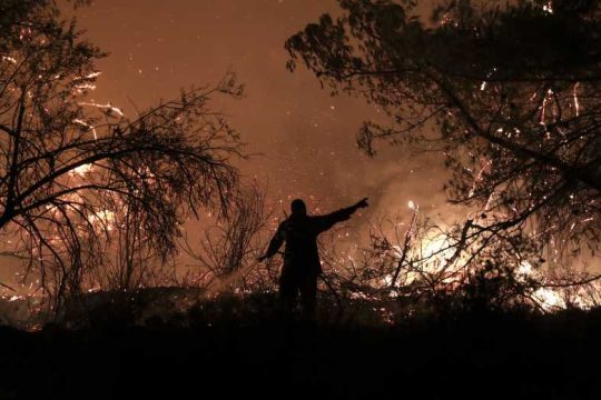 Αποψιλώνεται η Μεσόγειος