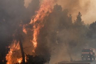 Ενα αισθητικό δάσος του Δικτύου Natura 2000 στο έλεος της φωτιάς