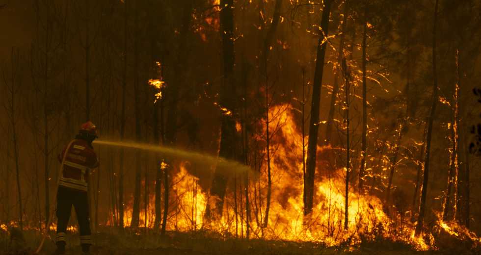 Η Μεσόγειος στο έλεος των πυρκαγιών