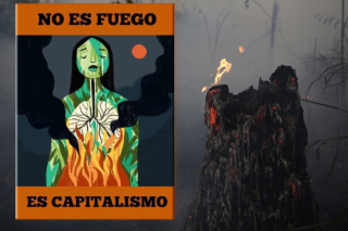 «Δεν είναι φωτιά, είναι ο καπιταλισμός»