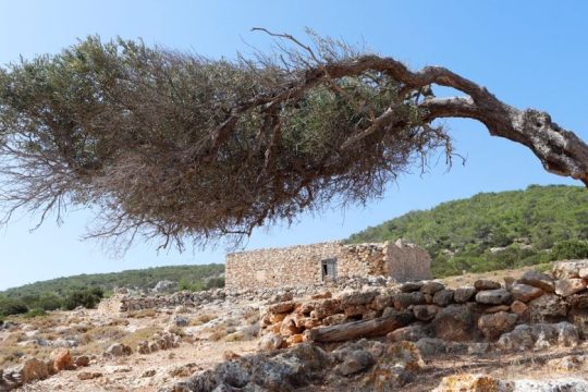 Kαφενείο οι Εξόριστοι