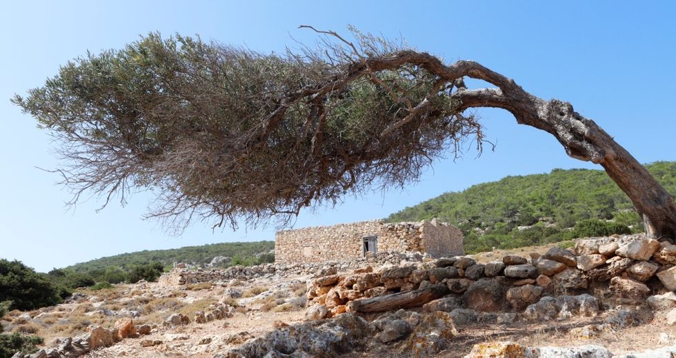 Kαφενείο οι Εξόριστοι