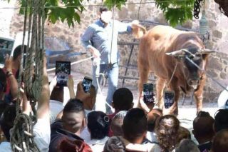 Οι ζωοθυσίες και τα βάρβαρα έθιμα δεν έχουν θέση στις μέρες μας