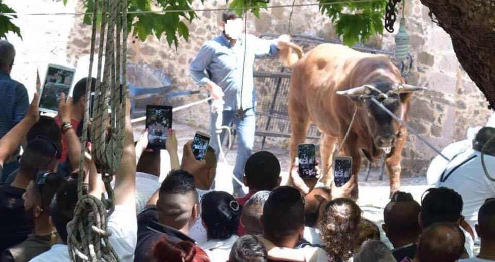 Οι ζωοθυσίες και τα βάρβαρα έθιμα δεν έχουν θέση στις μέρες μας