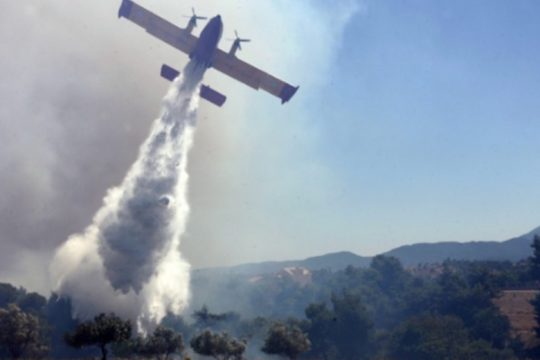 Μάχη με τις φλόγες και τους ανέμους στην Ελαφόνησο