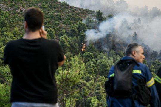 «Θα πρέπει να πάμε σε μείξη των δασών»