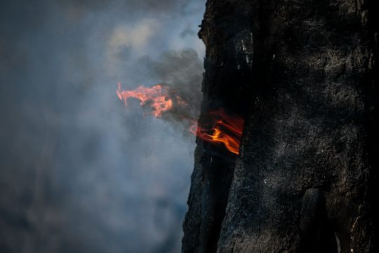 ΚΚΕ: Η φωτιά στην Εύβοια αναδεικνύει τις διαχρονικές ευθύνες των κυβερνήσεων